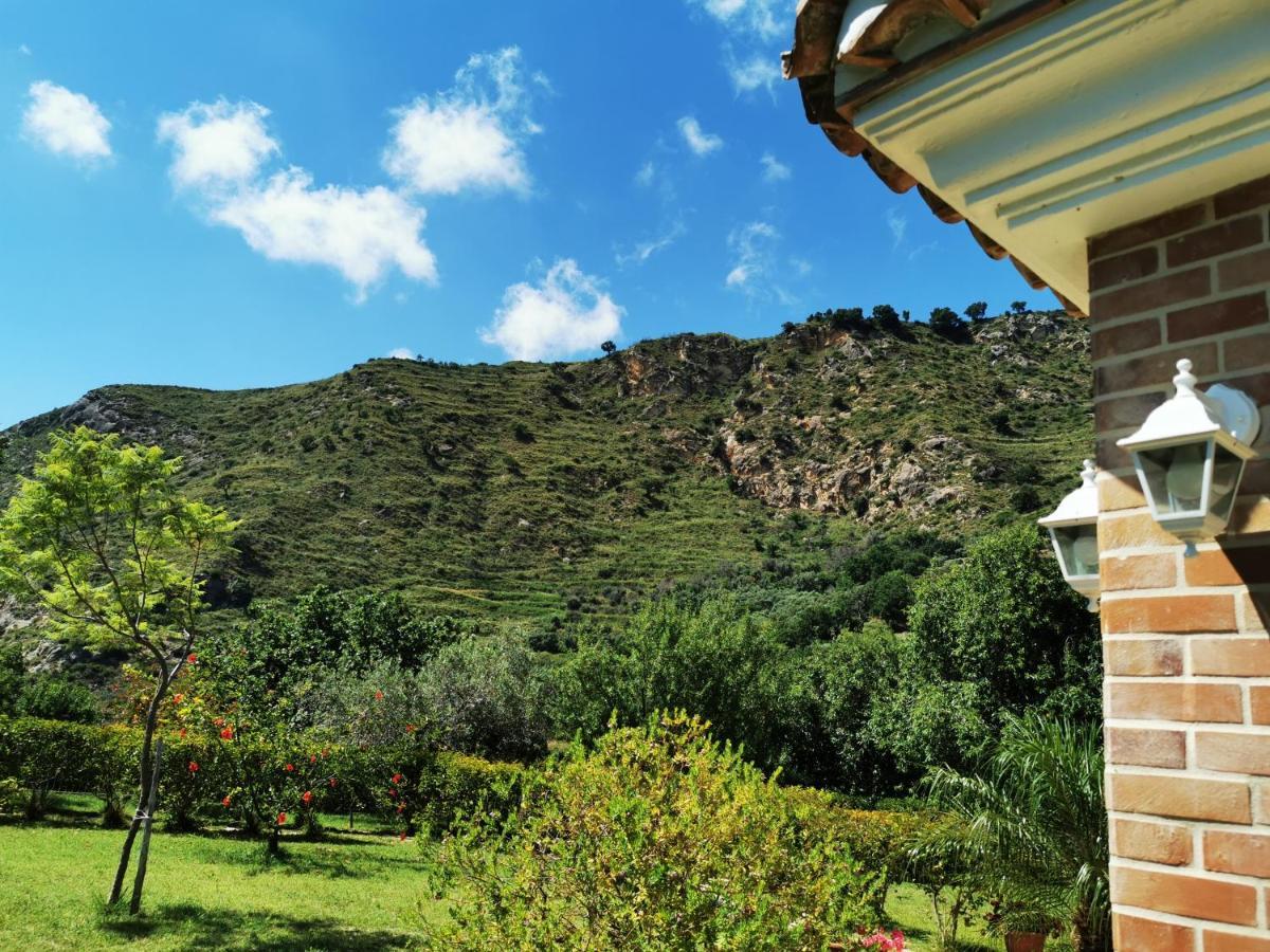 Il Mandorlo Villa Amantea Luaran gambar