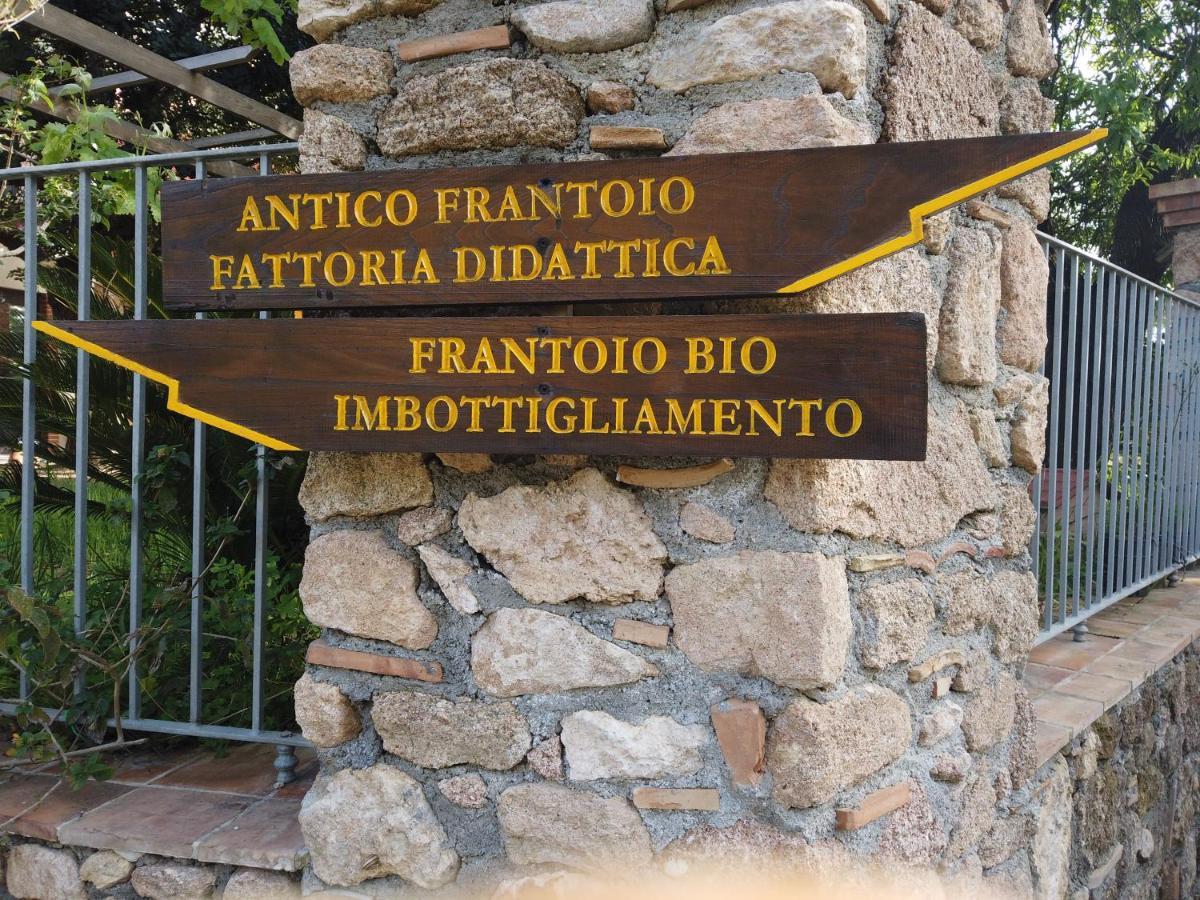 Il Mandorlo Villa Amantea Luaran gambar