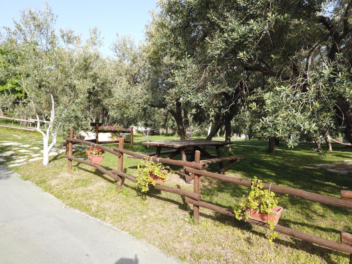 Il Mandorlo Villa Amantea Luaran gambar