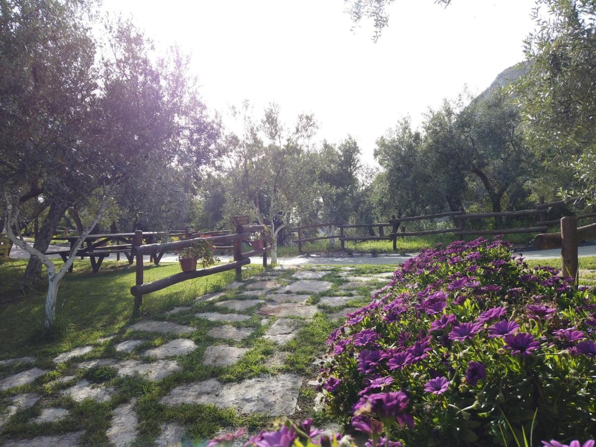 Il Mandorlo Villa Amantea Luaran gambar