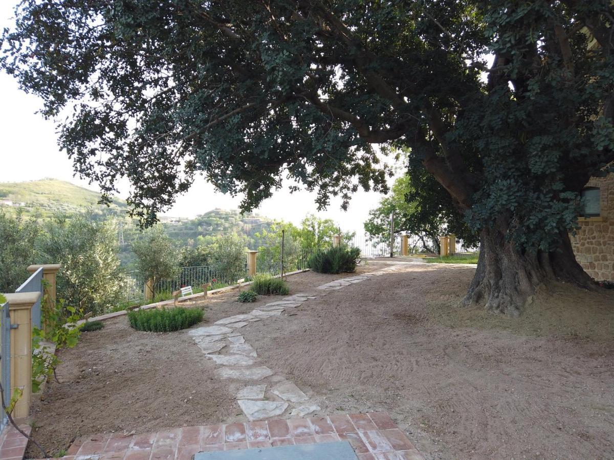 Il Mandorlo Villa Amantea Luaran gambar