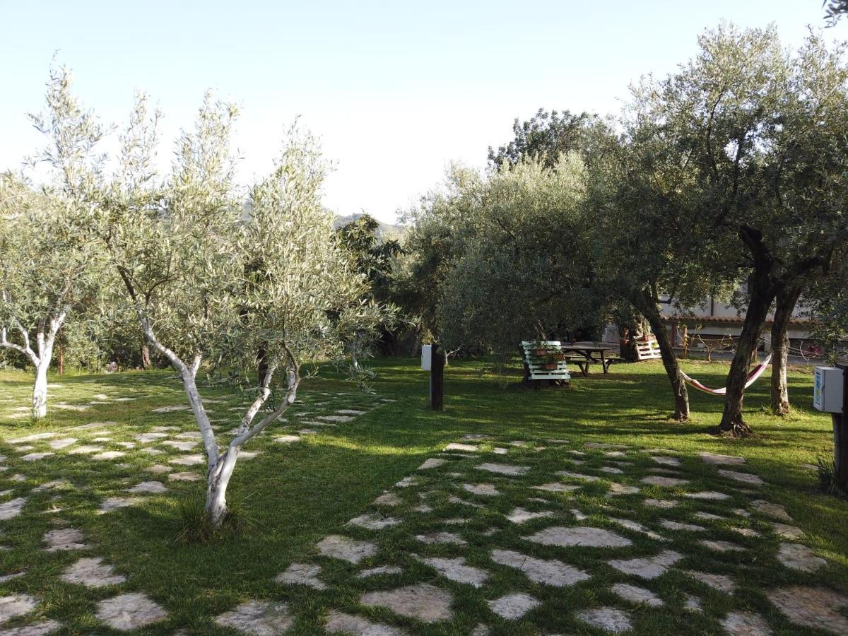 Il Mandorlo Villa Amantea Luaran gambar